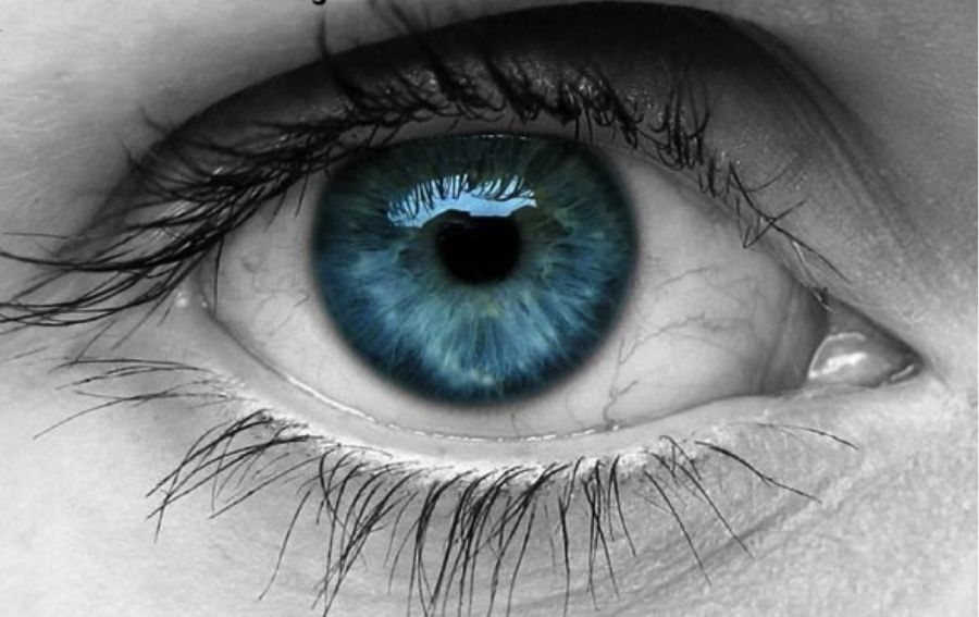 emdr