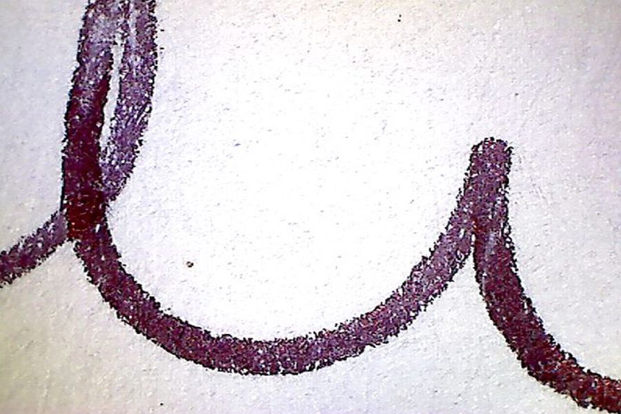 perizia-grafica-giudiziale