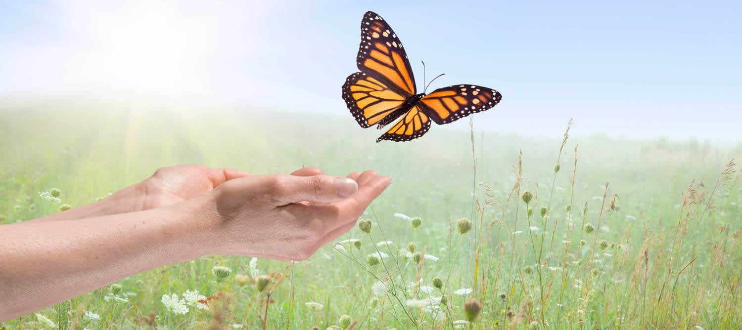 psicologo psicoterapeuta